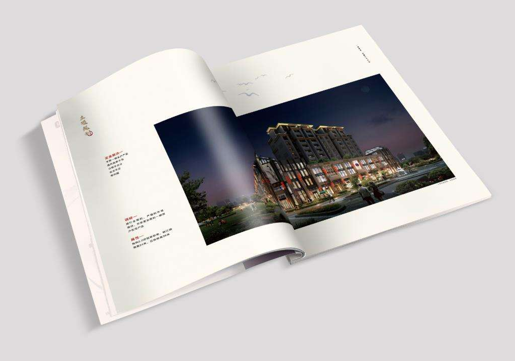東莞專(zhuān)業(yè)畫(huà)冊(cè)設(shè)計(jì)